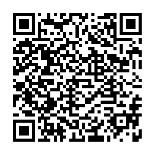 则是在他消化完五颗铁胎果之后海勒在对他做了一番测试之后得出的数据二维码生成