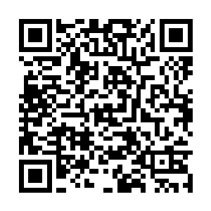 刚上来的一瞬间她就感觉自己像是踩到了水中一样二维码生成