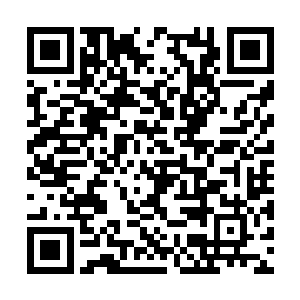 刚从宅院里匆匆赶来的管家便把一叠纸放在他手中二维码生成