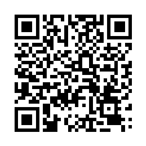 刚刚他们看到夏天给了老板一些赔偿二维码生成