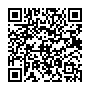 刚刚和风苍梧一起的几个年轻骑士从后面飞了过来二维码生成