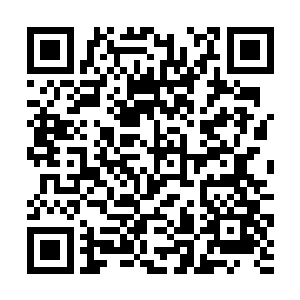 刚刚还因为母亲的关怀而酸楚的鼻子瞬间就清明起来二维码生成