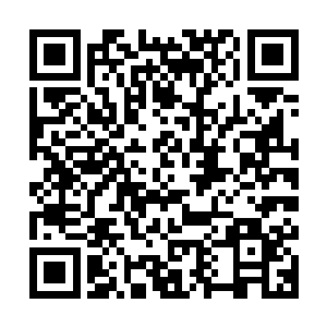 刚刚还生龙活虎对着他猛扑的傀儡兽已是刷的一下散落成无数截二维码生成