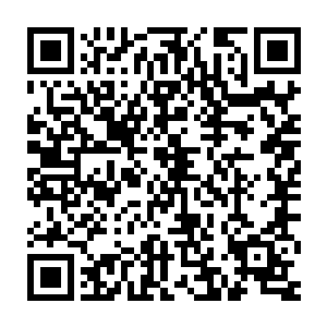 刚刚鄢懋卿也注意到严世蕃捉刀的文章通过小太监送到了严嵩的手中二维码生成