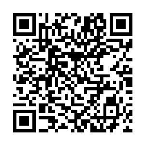 刚才主人说让一个人带装满的乾坤袋和储物装备回去二维码生成