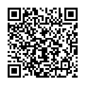 刚才他实在是被龙傲天的行为激怒了所以才会做出那样的举动二维码生成