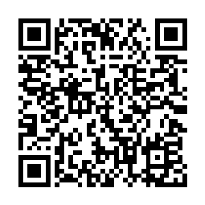 刚才光顾着想如何找到突破秘境第九重的秘辛了二维码生成