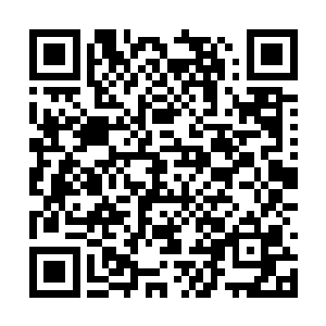 刚才呵斥聂云的青年见有机会光明正大的教训对方二维码生成