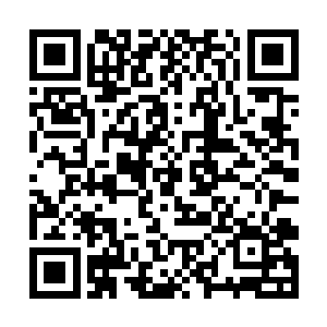 刚才在村民面前不可一世的甲兵顿时成了避猫鼠一般二维码生成