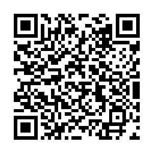 刚才我没有感应到那些妖怪身上有元晶的气息……二维码生成