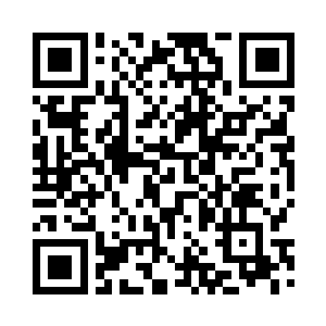 刚才那位被扛在护卫肩头昏迷不醒的二维码生成