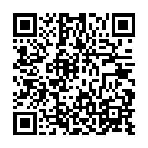 刚把纳兰琪带到凡间就给封印在了风潇城主的雕像之中二维码生成