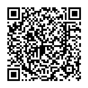 利用自身强横的能力试图破坏生命树的生存环境……生命树非常强大二维码生成
