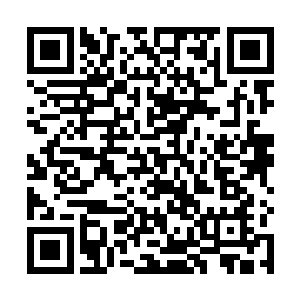 到了中雅公寓门口下了的士后就没再牵我的手的澹台璃二维码生成