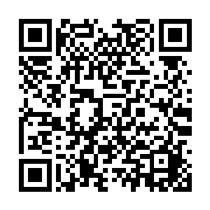 到了晚上安静的时候几乎可以听到秸秆拔高的声音二维码生成