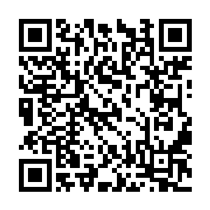 到了那个时候你让欢喜哥到哪里去找那么多的眼泪二维码生成