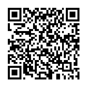 到哪去找懂阵法又不会武功又不怕白蒲刺眼五感敏锐的人二维码生成