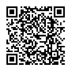 到头来却又给另一些人带去了痛苦……这样证得的道二维码生成