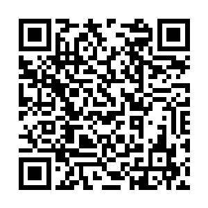 到时会安排可靠的冒险者护送你们回家族或者宗门二维码生成