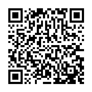 到时候我怎么知道会不会是社稷图和碧蓝海神双管齐下对付道盟二维码生成