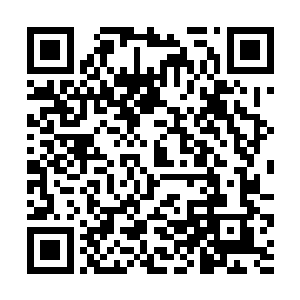 到时候陷入黑暗之中的他们恐怕连还手的能力都没有二维码生成