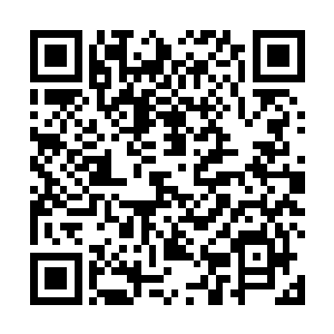 到现在也没有加入支持导演协会的电影艺术与科学学院二维码生成