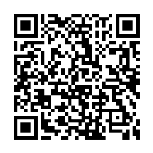 制符堂和仙阵堂的弟子正在围着一艘仙舟忙活着二维码生成