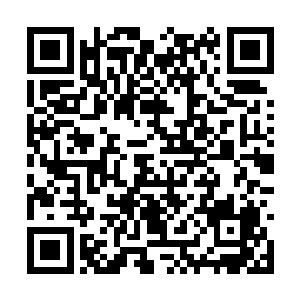 刷刷的奔到妖兽王的前方似训练有素般的匐匍在地二维码生成