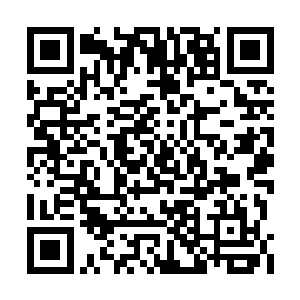 前一刻还意气风发的晋朝士兵们屁滚尿流地进来二维码生成