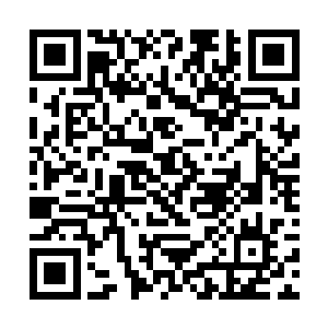 前几天咱们有个小师弟就是一个不小心让师尊生气了二维码生成