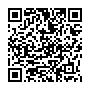 前前后后一共在前十名的榜单之中留住了二十周二维码生成