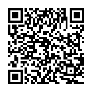 前多年前的第一批古圣骑士为了守护家园和族人而战二维码生成