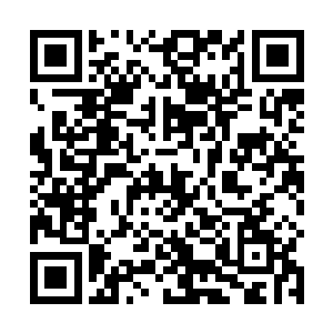 剑尘去洛尔城看望了一下肯德大叔的儿子肯小三两母子二维码生成