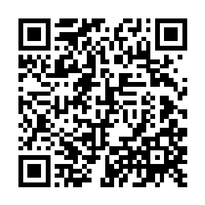 剑尘甚至能明显的感觉千魂魔尊已经来到了自己身边二维码生成