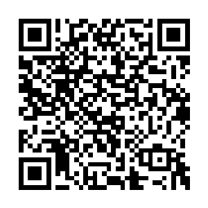 剑尘脸色阴沉的盯着堵住龟族大门的陶正天等人二维码生成