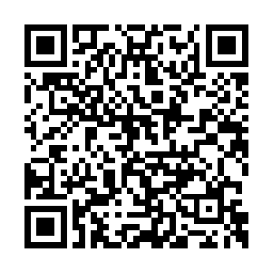 剑尘这堪比混元境的战力就宛若初生的婴孩一般二维码生成