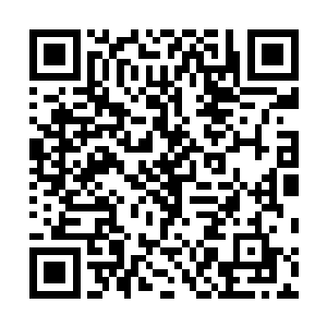 剑气留影身法是他自创出来的一门集合步法与身法的技能二维码生成
