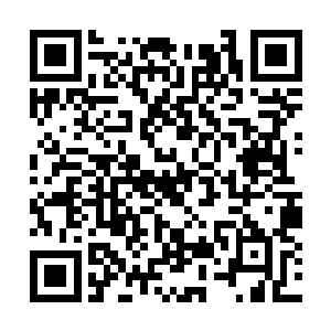 剧组的演员就会知道我之前的决定是多么的明智了二维码生成