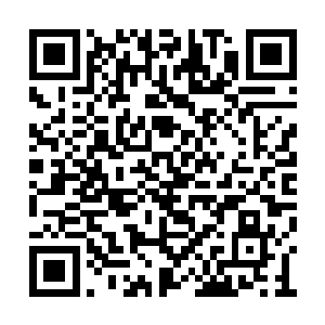 剧组问沈馥为什么不赞成在燕京开发布会的提议二维码生成