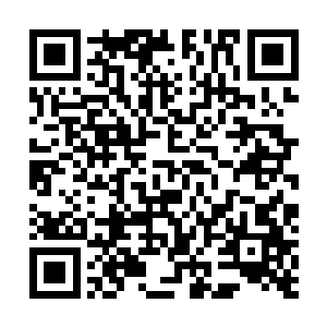 剩下没有被杀死的虫子一个个吓得跑回了巢穴不敢再出来二维码生成