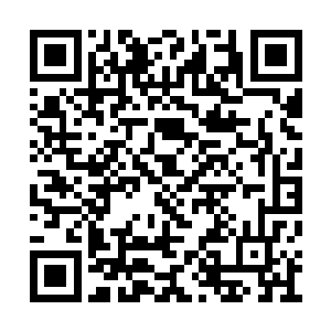 力求以吐纳的方式将几乎枯竭的灵气先恢复一些二维码生成