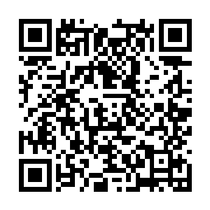 力莲从力易的口中也明白了为什么他的行为很反常二维码生成