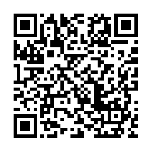 加上我们降落的点太集中……难道我们不能分散到其他地点吗二维码生成
