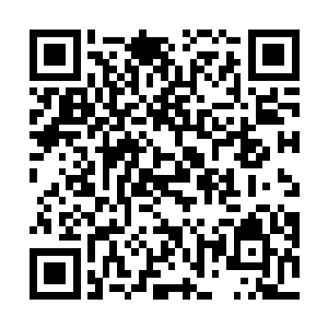 加上数十名没有归属的散修以及荒野之地的巫门修行者二维码生成