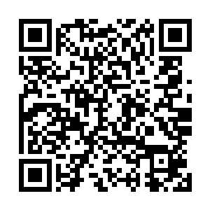 动辄几百万字的网文在其低门槛和廉价性上占了便宜的同时二维码生成