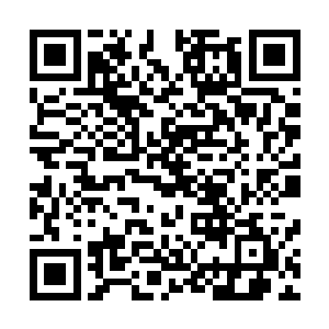 努力把任务给做好――至于我的队友会不会坑我就很难说了二维码生成