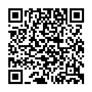 劳伦开心不起来了因为他发觉了自己成了这几只小虎鲸的玩具二维码生成