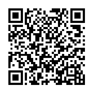 勉强缩成一大团几乎占据着树心上八成位置的巨大水球二维码生成