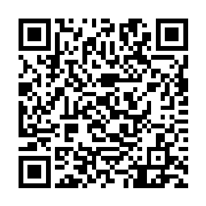 包含了对于个体身份进行同一认定所需要的所有信息二维码生成