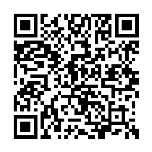 包括古龙俊和胜屠昊都带着好些家族往那边去了二维码生成